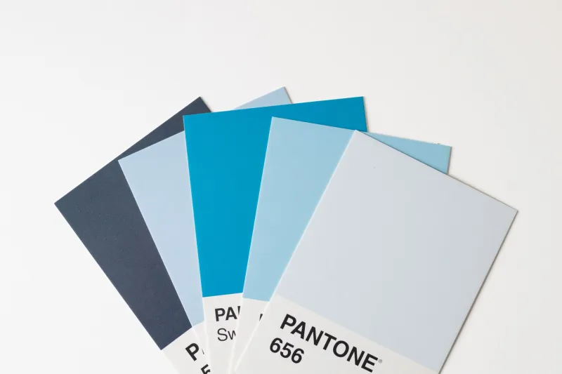 Color Is a Strategy: How Nashville Brands Are Using Seasonal Palettes to Stay Fresh Without Starting Over